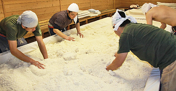 米　発酵
